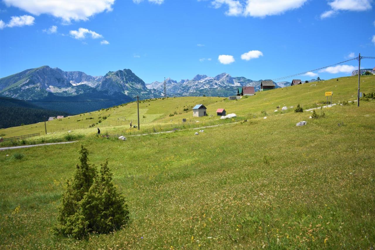 Žabljak Durmitor Viewヴィラ エクステリア 写真